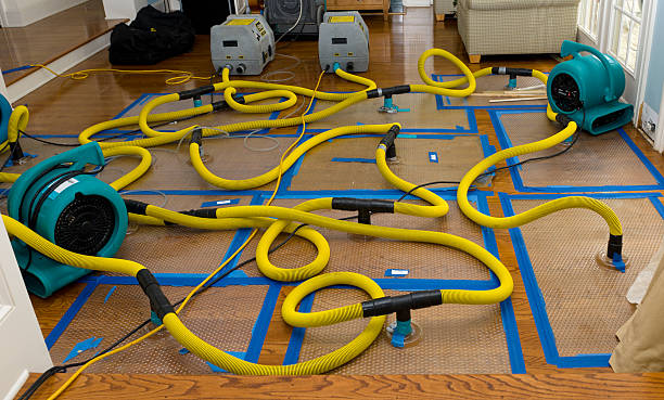 Professional Basement Flood Cleanup technician working in Newport, SC